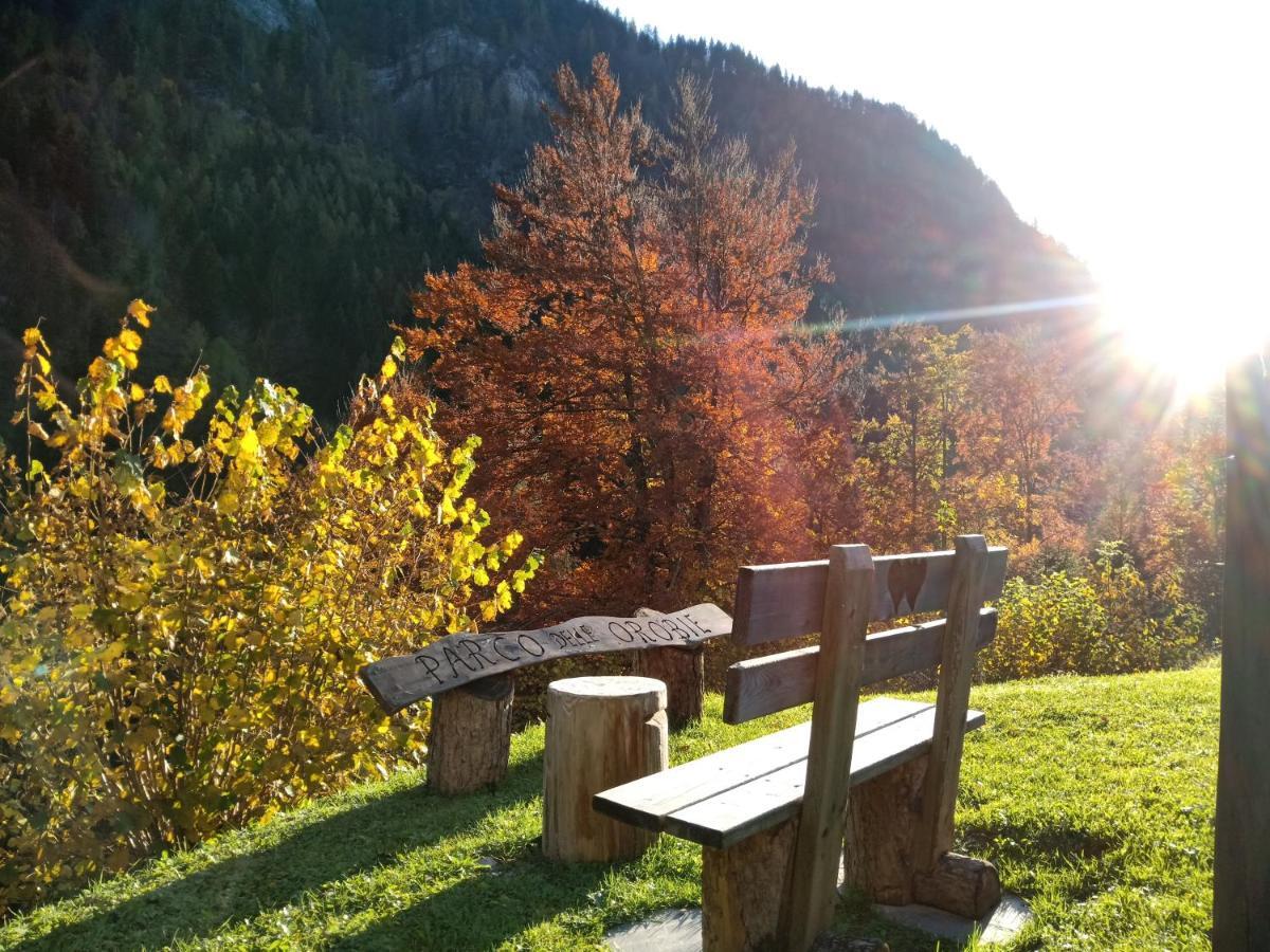 Hotel Orobie Alps Roncobello